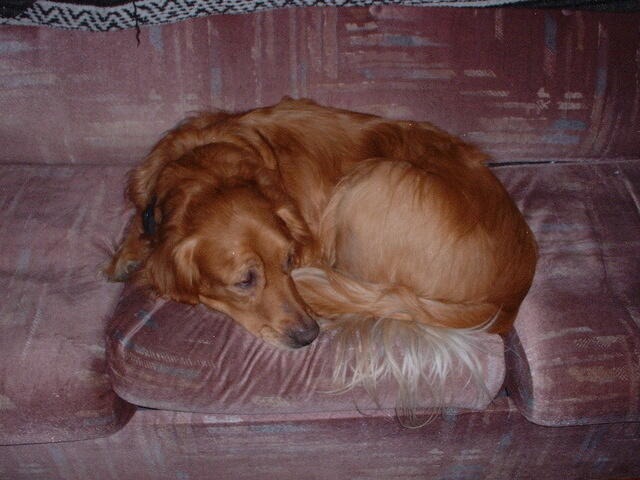 JakeChillin