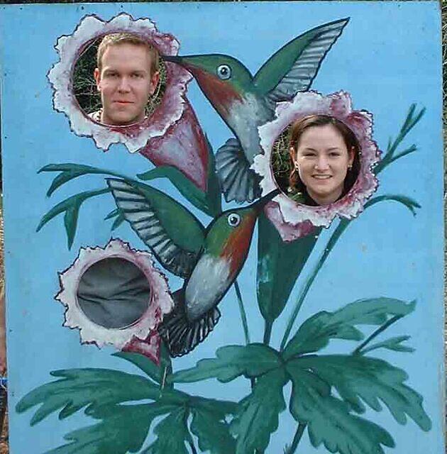 torre andy flowerpicshigh