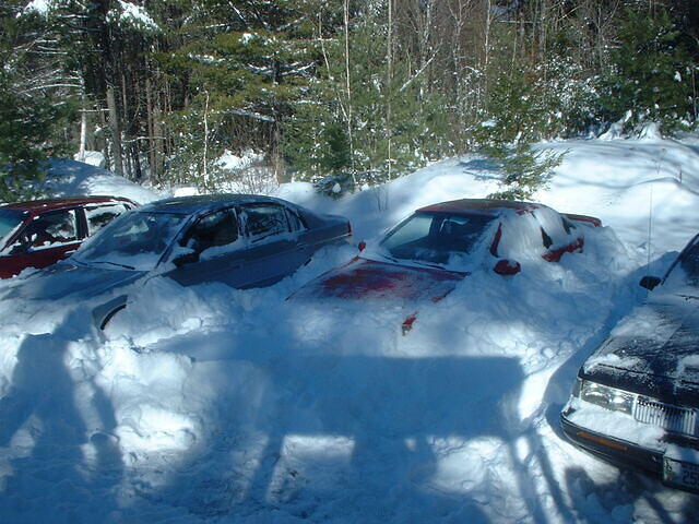 SnowyXmas02b
