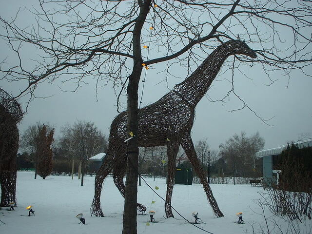 tree giraffe
