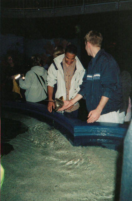 aquarium1