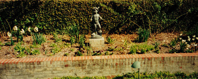 boy and turtle