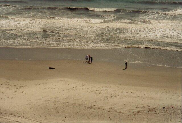 Playing on the beach