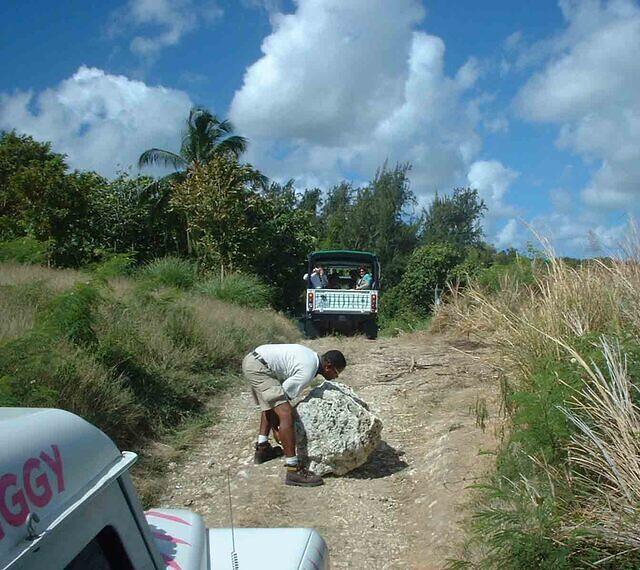 Barbados Safari Andre rock