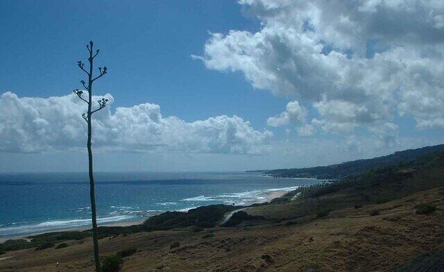 Barbados Safari CoastView