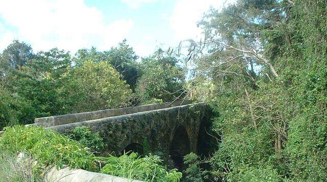 Barbados Safari bridge