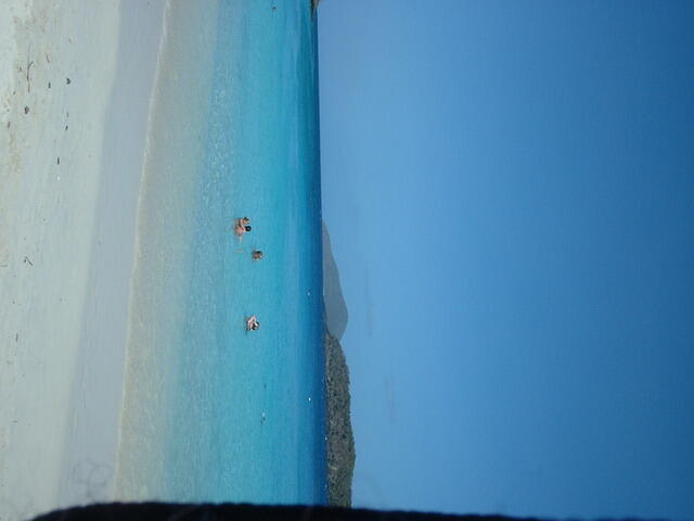 DSCF0061