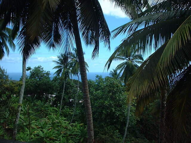 DSCF0110