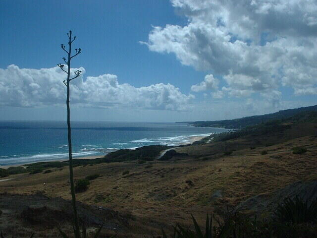 DSCF0124