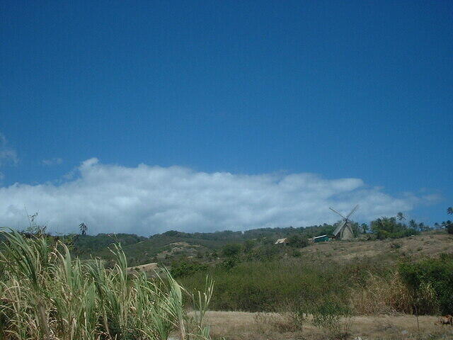 DSCF0128