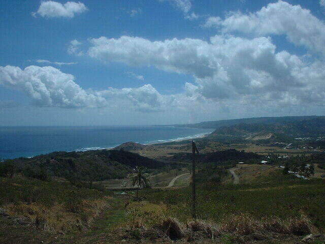 DSCF0130