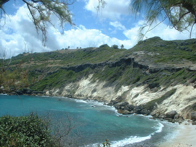 DSCF0131