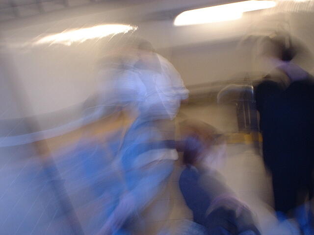Picture 010