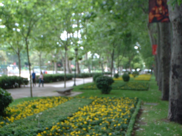 JPEG Digital Camera 133