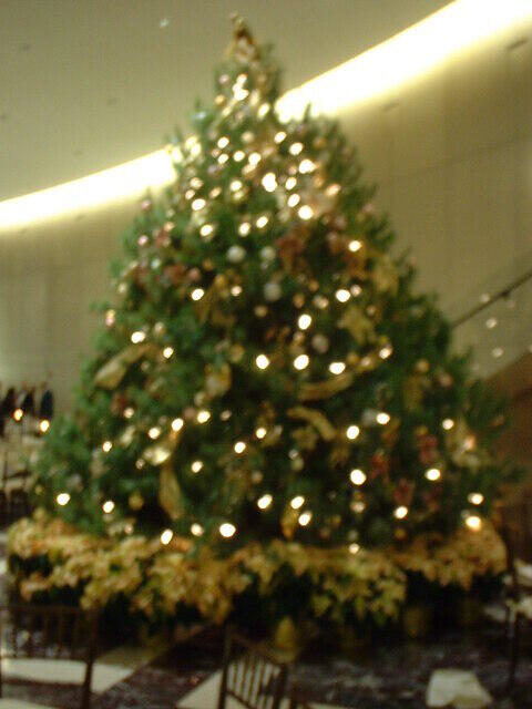 DSCF0179