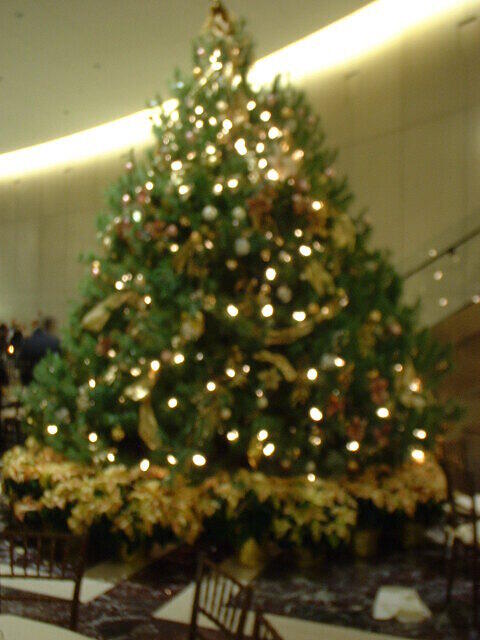 DSCF0180