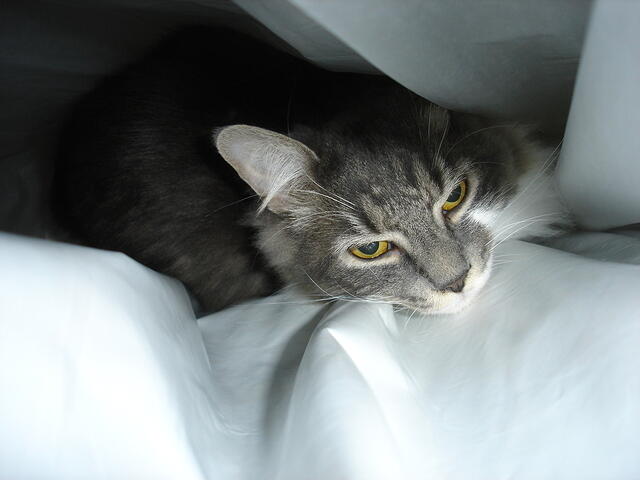 DSC00503
