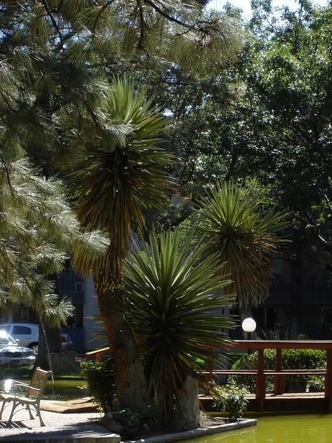 DSC01536