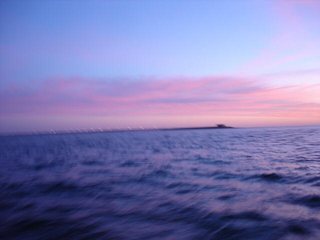DSC02248
