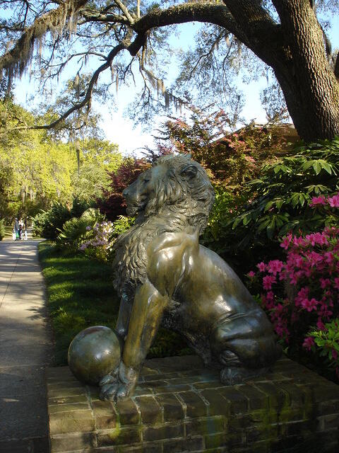 DSC02770
