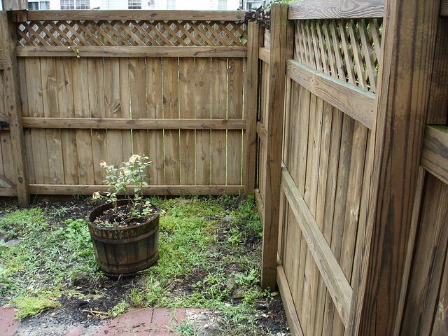 BackYardRight