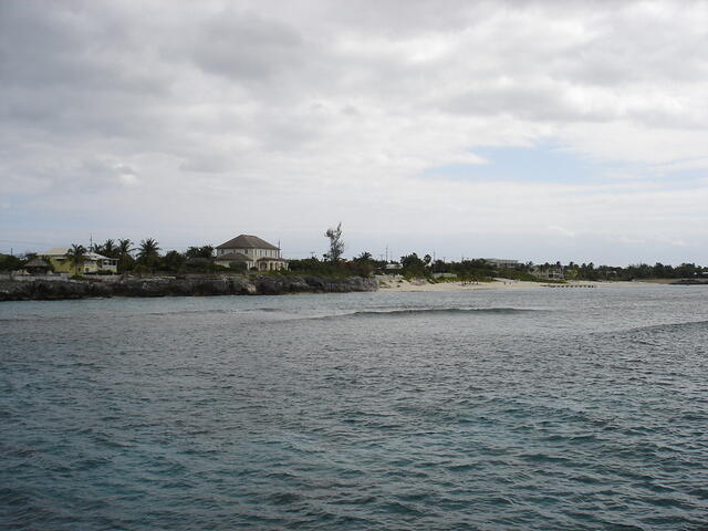 DSC02520