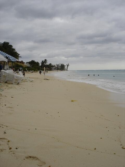 DSC02530