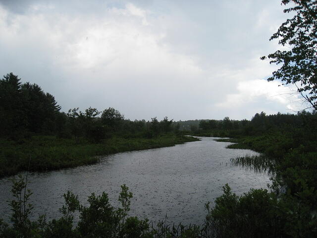 IMG 0001