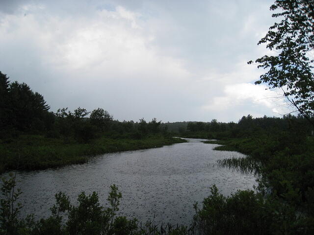 IMG 0002