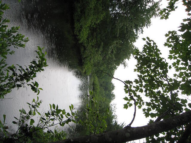 IMG 0007