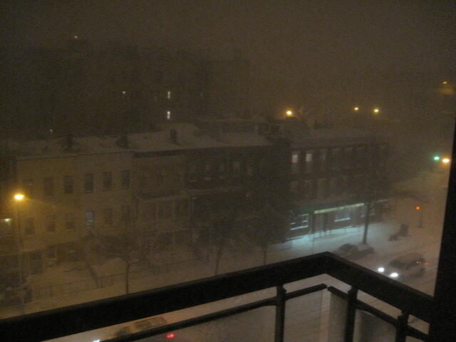 IMG 5698