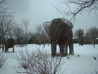 tree elephant