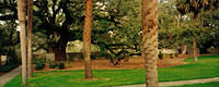 gardens2