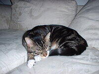 DSCF0046