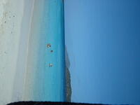 DSCF0061