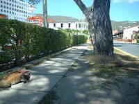 DSCF0073