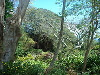 DSCF0119