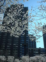 BatteryPark03 2