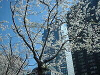 BatteryPark03 3