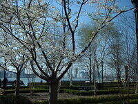 BatteryPark03 5