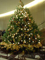 DSCF0180