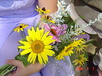 Bouquet 002