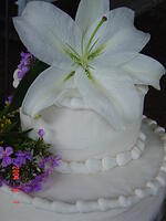 cake top