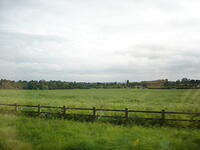 DSC01008
