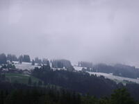 DSC01133 001