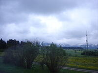DSC01135 001