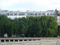 DSC01239