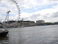 DSC00990