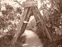 DSC02741
