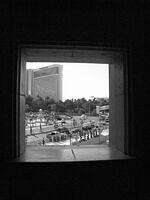 window with a view